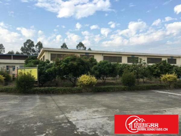 惠城区马安证件齐全化学品仓库出租（可分租）