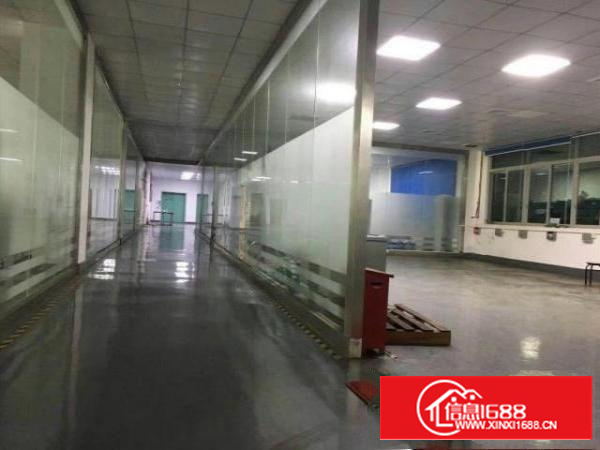 万江石美标准厂房分租二楼1600平方出租