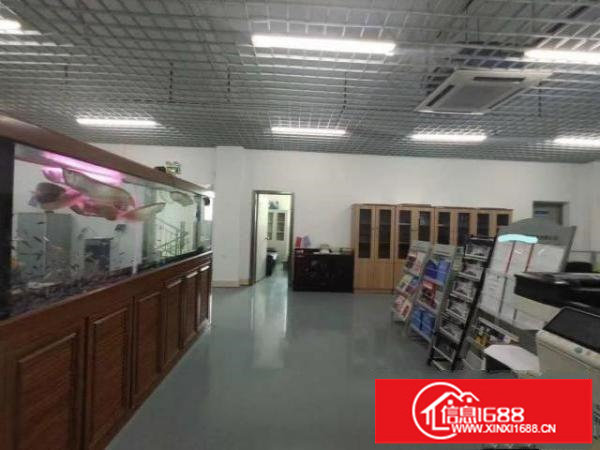 观澜新田精装修厂房出租大小可分租