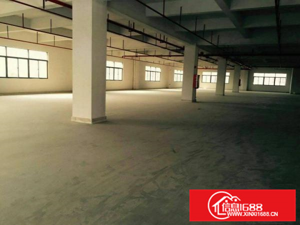 秋长大亚湾楼上1000平方加1900平方厂房出租