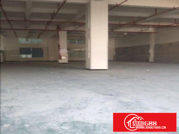 大岭山镇杨屋工业厂房,仅剩一楼850平方,低价出租!