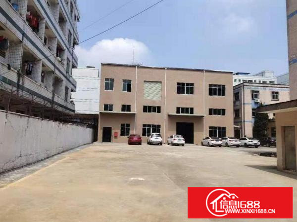 常平独院厂房出租整租分租无公摊办公室楼仓库原房东