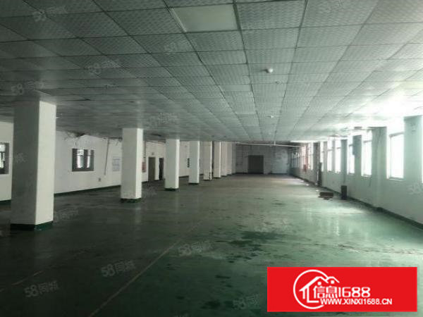 清溪大利新出原房东二楼600平方带装修12元急租