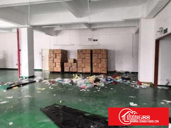 石岩应人石650平，精装修拎包入驻免转让费厂房出租