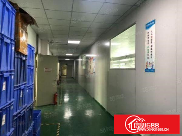 观澜福民原房东三楼一整层2000平精装修厂房出租