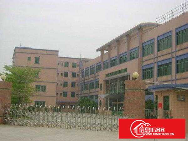 常平厂房3600平米,急招租,花园式超靓