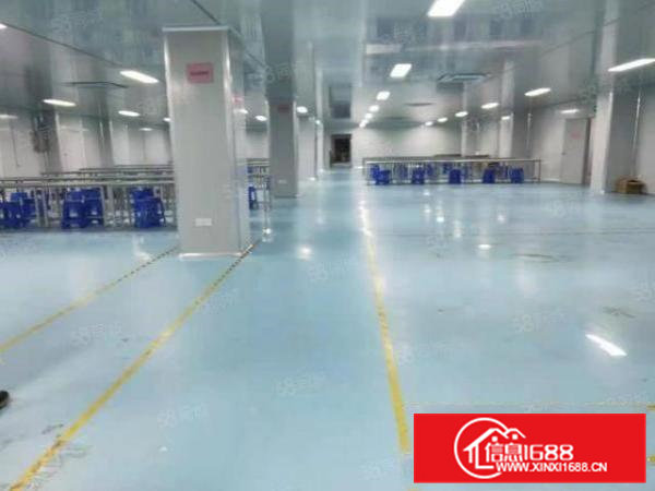 清溪大利三楼10万级标准无层车间4200平，可分租