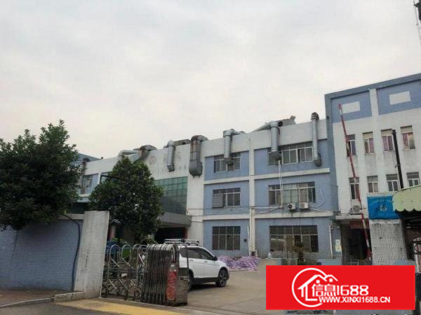 高埗镇冼沙独院原房东标准厂房3层13000平