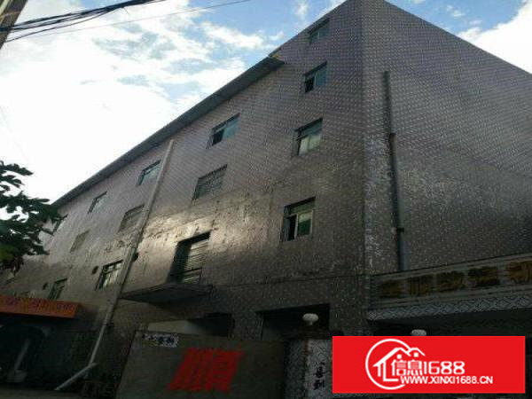 碧岭新沙路新出楼上1150平带装修厂房出租