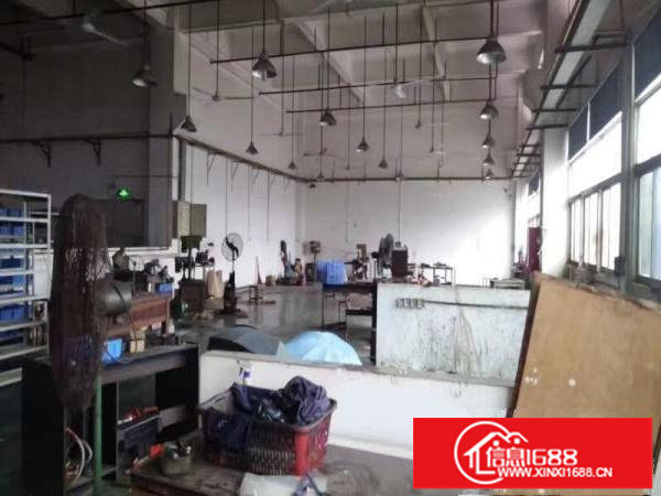 开小厂的福音！高6.8米！空地大！龙岗新出原房东一楼600平