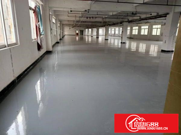 白沙康城创意园大小面积可分拎包即可生产