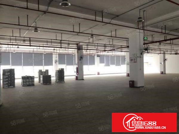 500平可分租坪山大工业区原房东10000平厂房出租层高6米