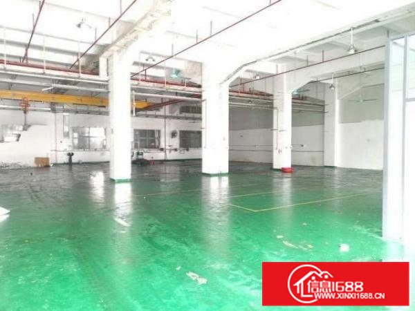 清溪原房东一楼900平厂房直租