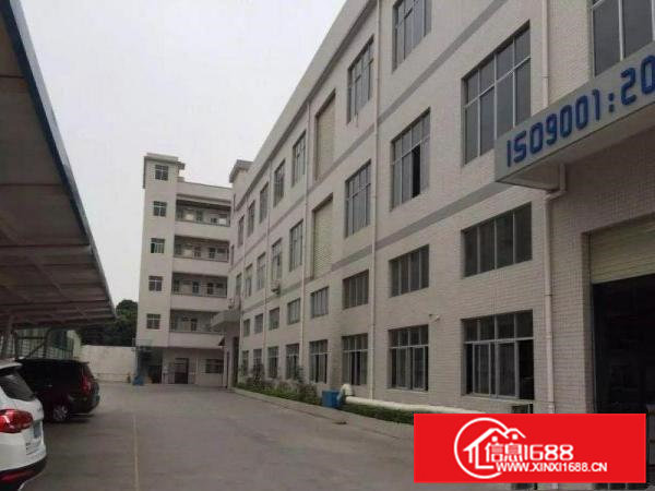 高埗现有300-20000平方厂房招租出租