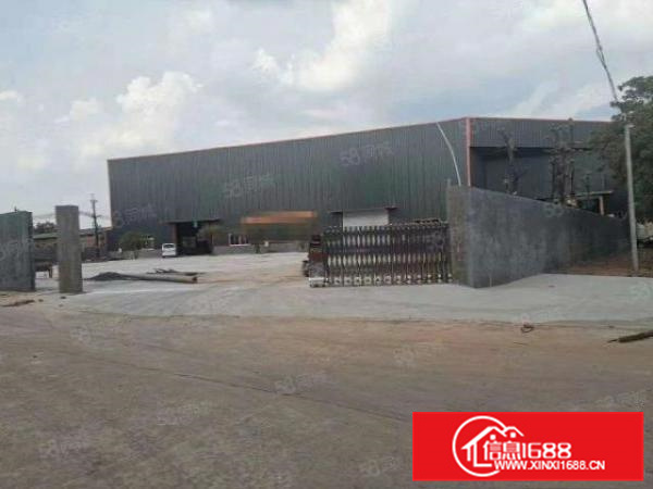 南海大沥新出原房东厂房滴水13米