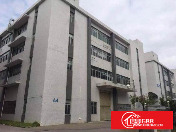 笋，有红本，大小任分！田心20000平方独院厂房！6.5米高