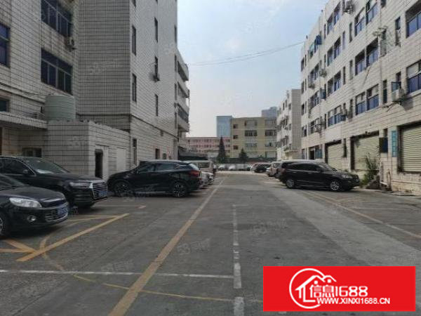 龙岗龙东楼上500平原房东标准厂房招租