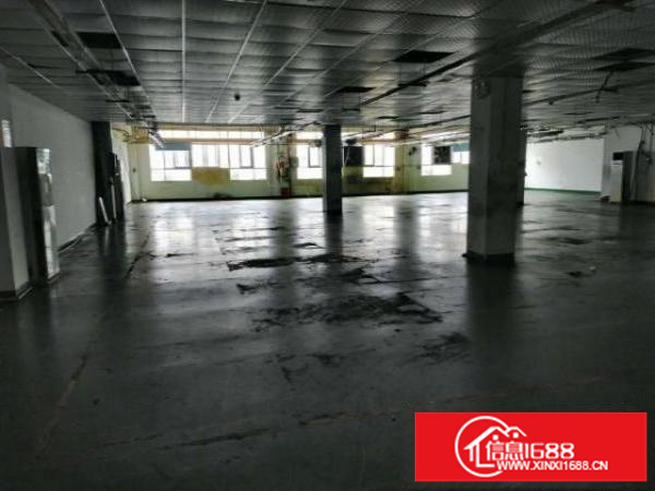 出租大浪工业区整层厂房