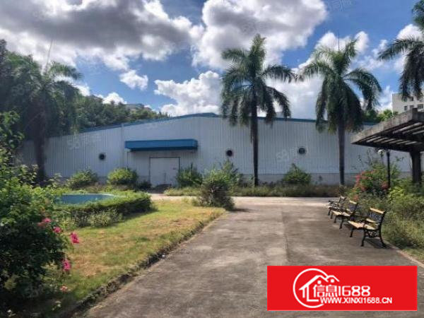 石岩新出独门独院钢构厂房出租4000平，高度滴水6米