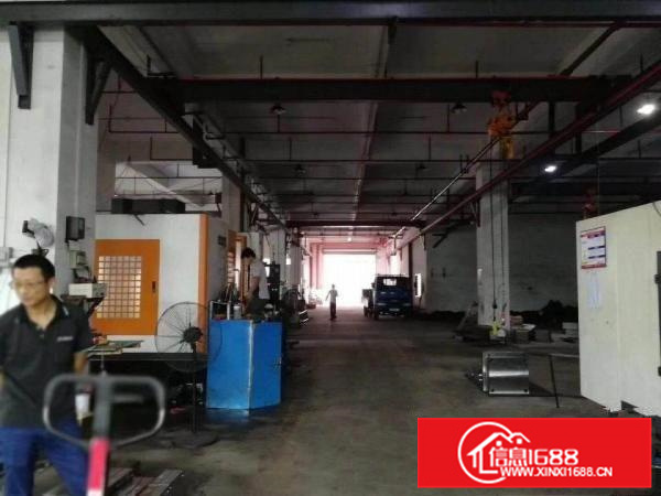 秋长新出标准1800平标准厂房