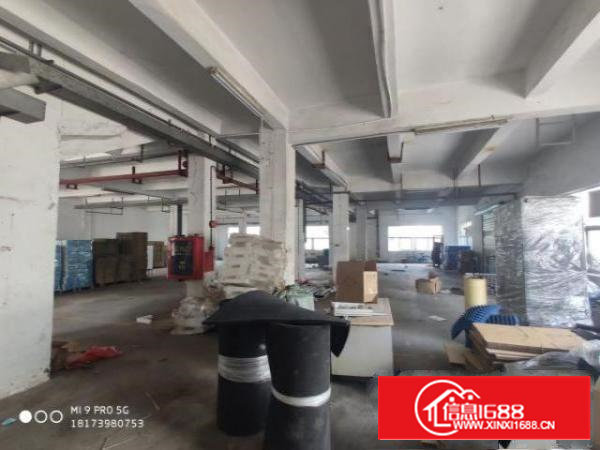 沙井博岗新出800平厂房空超大进出货方便价格优惠