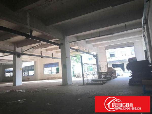 布吉新空一楼出标准带办公室800平方层高5.3米厂房出租