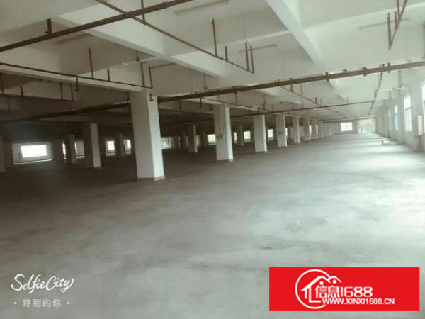 万江周边独院厂房分租1楼1800平方低价招租