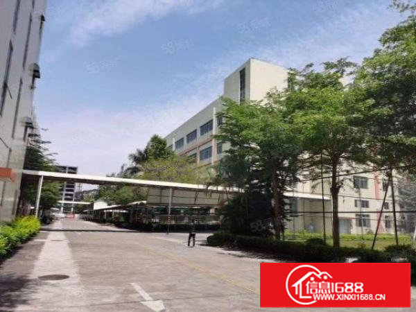 松岗罗田新出原房东厂房37000平米宿舍8000平米独门独院