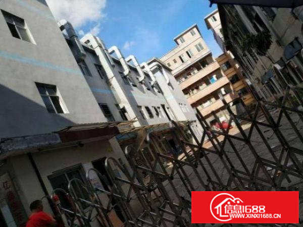 横沥新出1300平方一楼招租