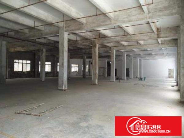 坪山大道比亚迪旁原房东800平一楼厂房出租高5米