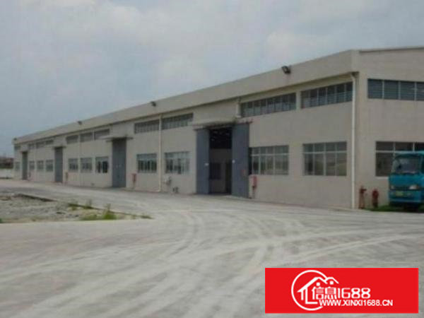 观澜高新区原房东1楼2500平6米高厂房带牛角出租