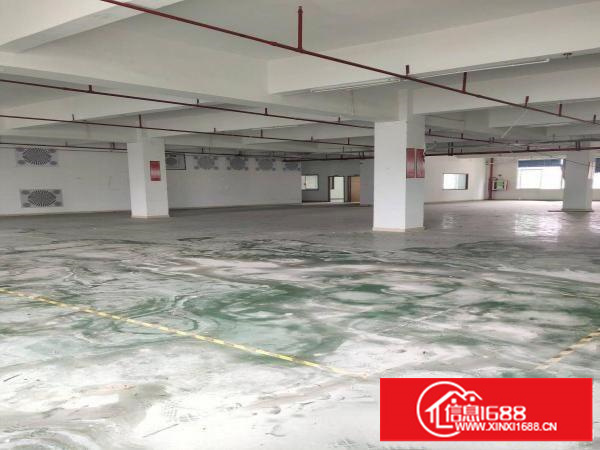 李朗原房东带精装厂房1000平和1700平出租实际面积没公摊