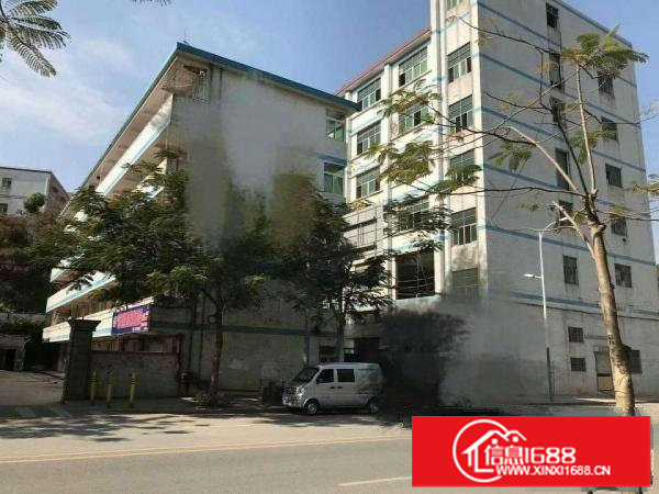 坂田新出独门独院厂房13000平米，可分租