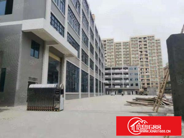 茶山工业园区原房东新建标准独院厂房出租