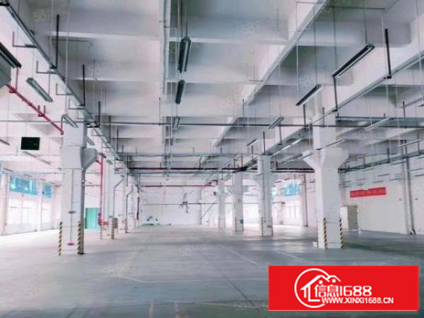 急租茶山成熟工业园区新出原房东独院标准10000平方厂房出租