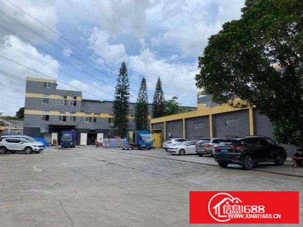 龙华大浪工业园原房东厂房仓库厂房出租精装修2500平可分租