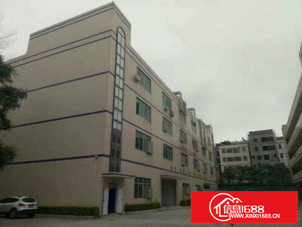 仲恺潼桥3万工业园厂房对外招租厂房形象好地段旺