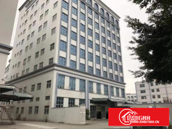 沙井新桥芙蓉工业区原房东1250平精装修厂房无公摊出租