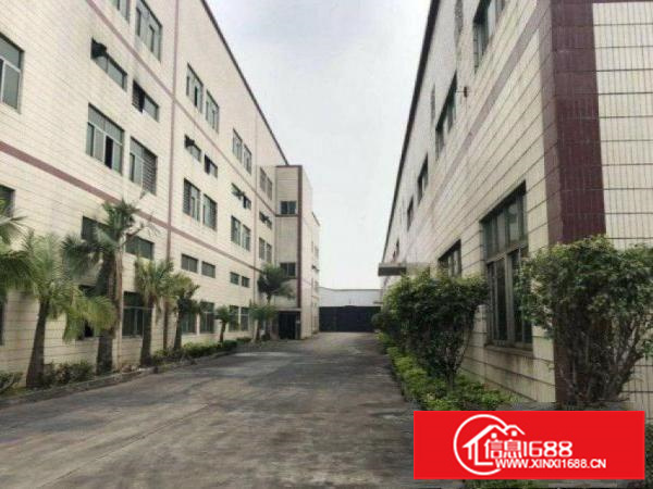 平湖华南城旁科技园带精装修2500平方