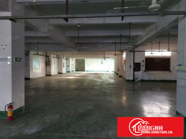 清溪镇铁松村新出2楼整层2400平带装修水电齐全(可分租)