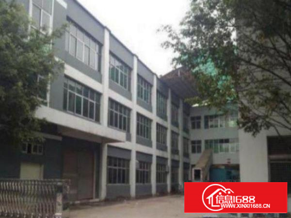 万江标准一楼900平米出租;适合多种行业现成办公室修