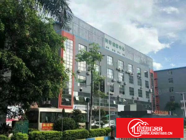 龙岗爱南路电商小精装办公费室业主直招价格可谈