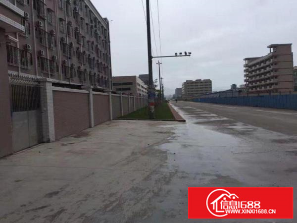 大工业区分租500平800平1200平厂房