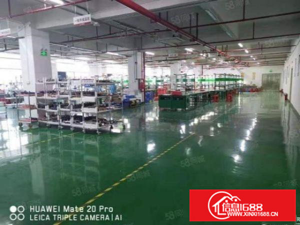 清溪浮岗标准红本一楼厂房1250平招租工业用地可分租