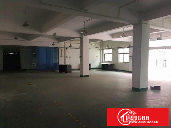 龙岗坪地新出标准一楼厂房400平米原房东