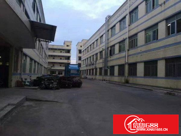 龙岗区新生精装一楼660平米标准厂房出租交通方便