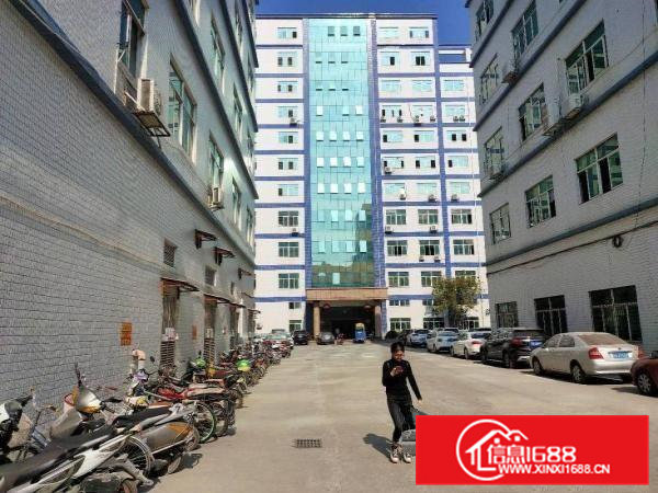 虎门白沙3楼1600平蒋精装修厂房出租，可分租两家800平方