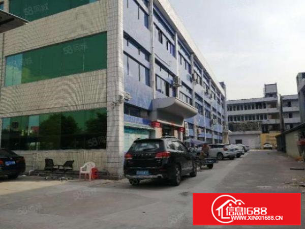 横沥模具城旁工业区分租一楼三楼各1350平方可整租可分租