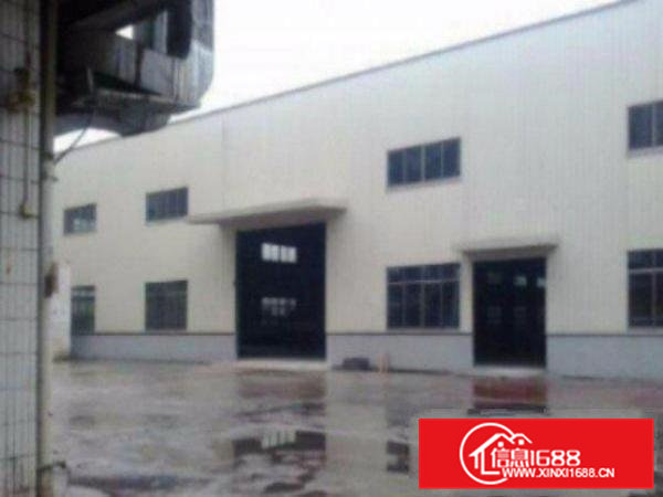 高埗护安围高薪产业园钢构单一层5000平方厂房出租