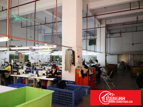 茶山镇卢边本地房东3楼800平现成制衣厂形象好易招工